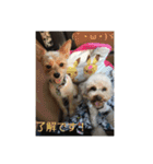 そら＆とわふぁみりー①（個別スタンプ：4）
