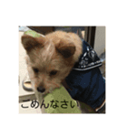 そら＆とわふぁみりー①（個別スタンプ：10）