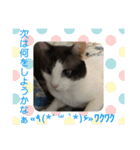 そら＆とわふぁみりー①（個別スタンプ：12）