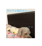 そら＆とわふぁみりー①（個別スタンプ：14）