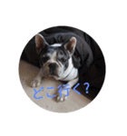 ふれたにちゃびぞう（個別スタンプ：12）