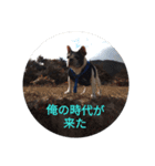 ふれたにちゃびぞう（個別スタンプ：16）
