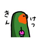 コザクラインコ 豆千代（個別スタンプ：9）