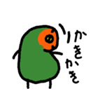 コザクラインコ 豆千代（個別スタンプ：17）