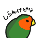 コザクラインコ 豆千代（個別スタンプ：21）