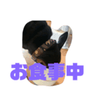 ヴィト子とカイ（個別スタンプ：3）