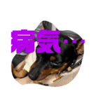 ヴィト子とカイ（個別スタンプ：5）
