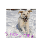 おちゃろの毎日（個別スタンプ：12）