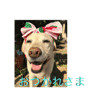 おちゃろの毎日（個別スタンプ：18）