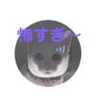 kuuちゃまの日常（個別スタンプ：6）