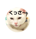 kuuちゃまの日常（個別スタンプ：8）