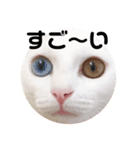 kuuちゃまの日常（個別スタンプ：10）