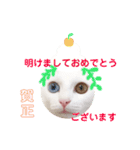 kuuちゃまの日常（個別スタンプ：16）