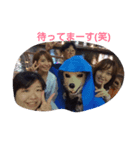 道頓堀川ストリートライブ（個別スタンプ：7）