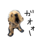 のんdog2（個別スタンプ：2）
