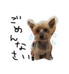 のんdog2（個別スタンプ：8）