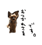 のんdog2（個別スタンプ：12）