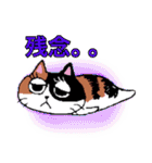 猫のみっちゅん vol.2（個別スタンプ：3）