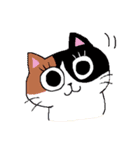 猫のみっちゅん vol.2（個別スタンプ：8）