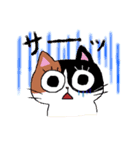 猫のみっちゅん vol.2（個別スタンプ：9）