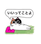 猫のみっちゅん vol.2（個別スタンプ：11）