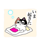 猫のみっちゅん vol.2（個別スタンプ：17）