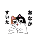 猫のみっちゅん vol.2（個別スタンプ：19）