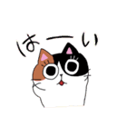 猫のみっちゅん vol.2（個別スタンプ：23）