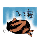 猫のみっちゅん vol.2（個別スタンプ：28）