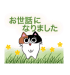 猫のみっちゅん vol.2（個別スタンプ：30）