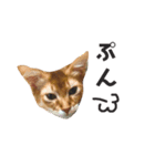 佐藤家のかわいこちゃん（個別スタンプ：8）