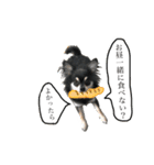 がんばるまるお（個別スタンプ：1）