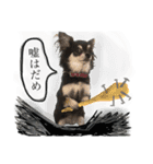 がんばるまるお（個別スタンプ：2）