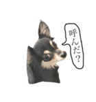 がんばるまるお（個別スタンプ：5）
