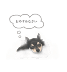 がんばるまるお（個別スタンプ：7）