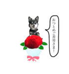 がんばるまるお（個別スタンプ：12）