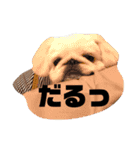 まめちゃんの日常1（個別スタンプ：4）