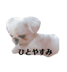 まめちゃんの日常1（個別スタンプ：18）