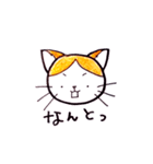 ハチワレむっちり②（個別スタンプ：1）