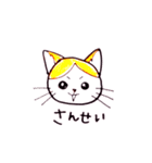 ハチワレむっちり②（個別スタンプ：14）