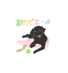 浜田家のわんこ（個別スタンプ：12）