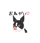 浜田家のわんこ（個別スタンプ：14）