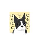 浜田家のわんこ（個別スタンプ：15）