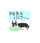 浜田家のわんこ（個別スタンプ：20）