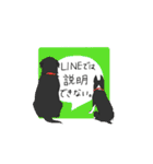 浜田家のわんこ（個別スタンプ：39）