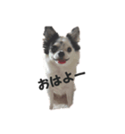 nanachanスタンプ（個別スタンプ：1）