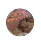 ほのぼのはむさん②（個別スタンプ：3）