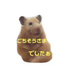 ほのぼのはむさん②（個別スタンプ：6）