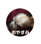あんらんcoco②（個別スタンプ：22）