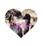 ワンpi❤しいちゃん（個別スタンプ：5）